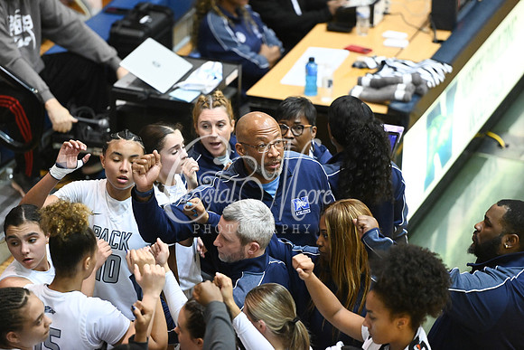6A GHSA Quarterfinals Girls Basketball with North Paulding High School vs Newton High Schoo