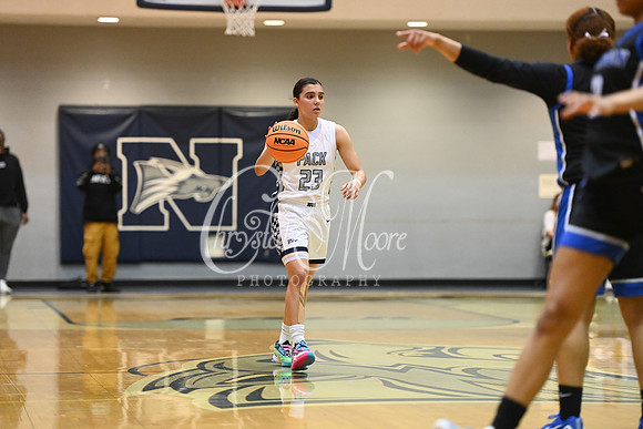 6A GHSA Quarterfinals Girls Basketball with North Paulding High School vs Newton High Schoo