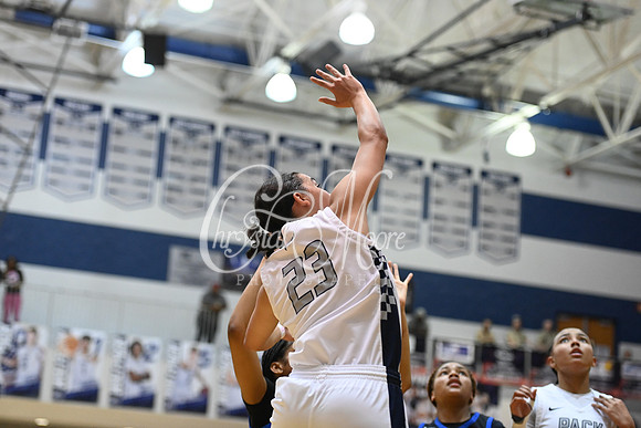 6A GHSA Quarterfinals Girls Basketball with North Paulding High School vs Newton High Schoo