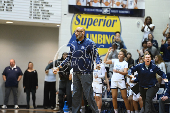 6A GHSA Quarterfinals Girls Basketball with North Paulding High School vs Newton High Schoo