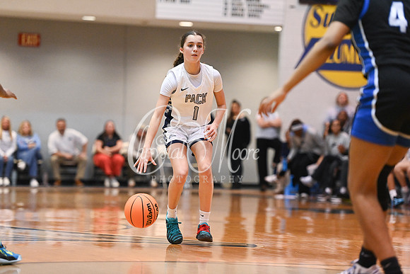 6A GHSA Quarterfinals Girls Basketball with North Paulding High School vs Newton High Schoo