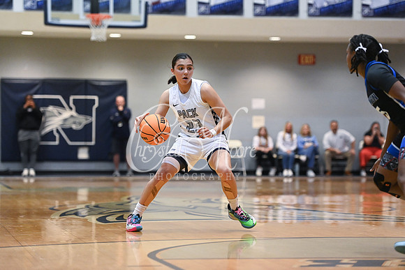 6A GHSA Quarterfinals Girls Basketball with North Paulding High School vs Newton High Schoo