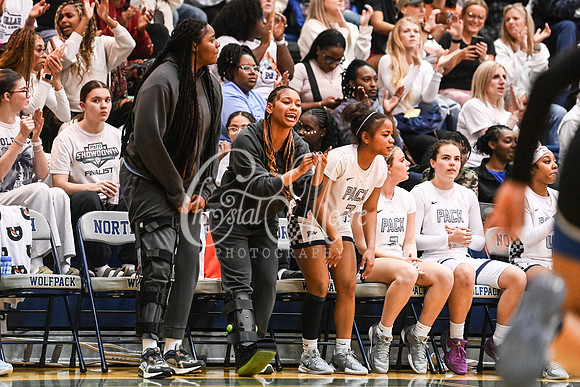 6A GHSA Quarterfinals Girls Basketball with North Paulding High School vs Newton High Schoo