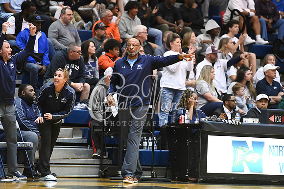 6A GHSA Quarterfinals Girls Basketball with North Paulding High School vs Newton High Schoo