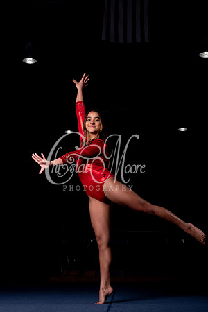 2020 Allatoona Gymnastics Team Shoot