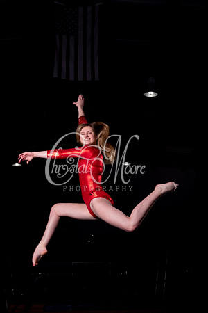 2020 Allatoona Gymnastics Team Shoot