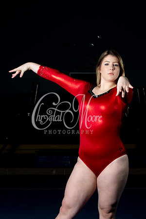 2020 Allatoona Gymnastics Team Shoot