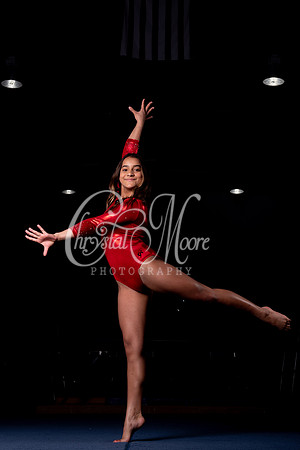 2020 Allatoona Gymnastics Team Shoot