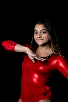 2020 Allatoona Gymnastics Team Shoot