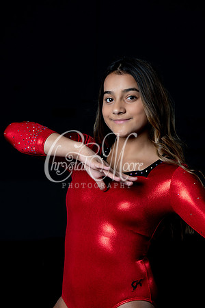 2020 Allatoona Gymnastics Team Shoot