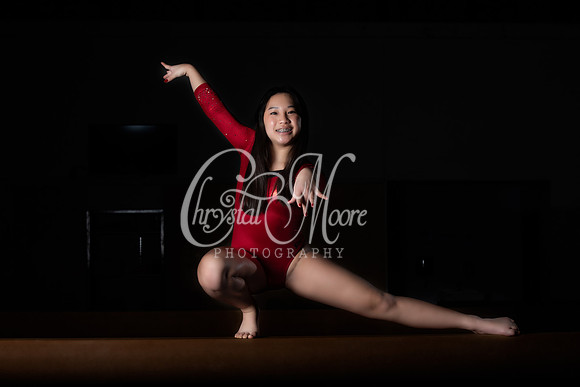 Allatoona Varsity Women Gymnastics Team Shoot