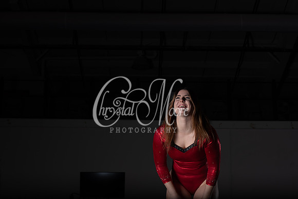 Allatoona Varsity Women Gymnastics Team Shoot