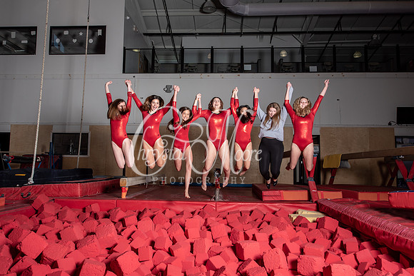 Allatoona Varsity Women Gymnastics Team Shoot