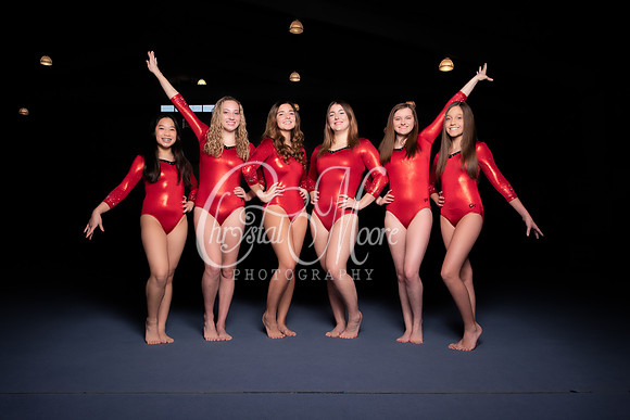 Allatoona Varsity Women Gymnastics Team Shoot