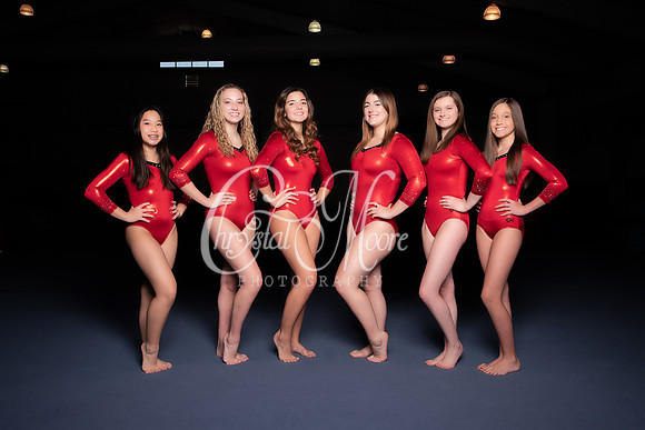 Allatoona Varsity Women Gymnastics Team Shoot
