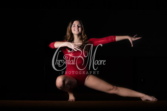 Allatoona Varsity Women Gymnastics Team Shoot