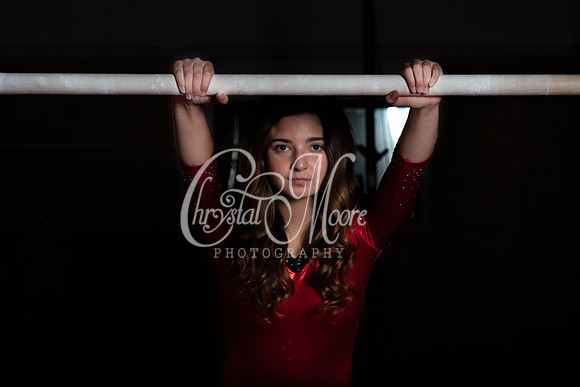 Allatoona Varsity Women Gymnastics Team Shoot