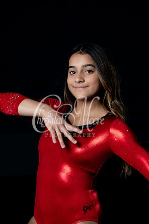 2020 Allatoona Gymnastics Team Shoot