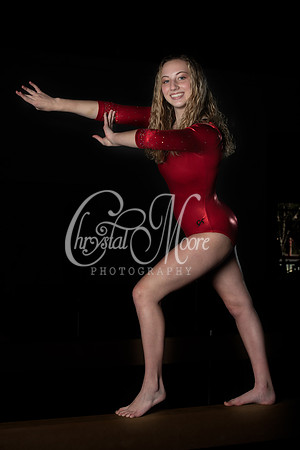 Allatoona Varsity Women Gymnastics Team Shoot