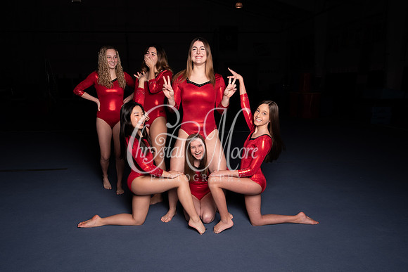 Allatoona Varsity Women Gymnastics Team Shoot