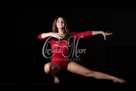 Allatoona Varsity Women Gymnastics Team Shoot