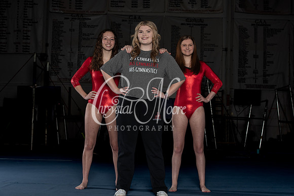 Allatoona Gymnastics 2022 Team Shoot