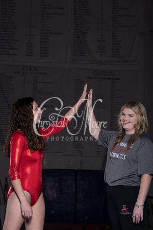 Allatoona Gymnastics 2022 Team Shoot