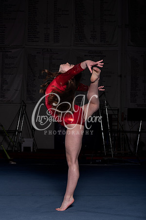 Allatoona Gymnastics 2022 Team Shoot