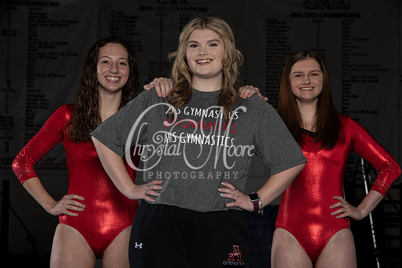 Allatoona Gymnastics 2022 Team Shoot