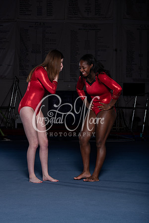Allatoona Gymnastics 2022 Team Shoot