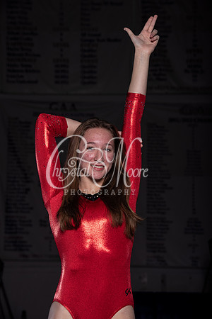 Allatoona Gymnastics 2022 Team Shoot