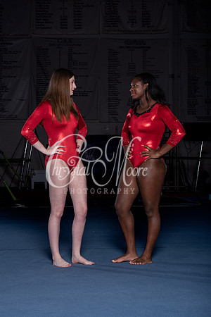 Allatoona Gymnastics 2022 Team Shoot