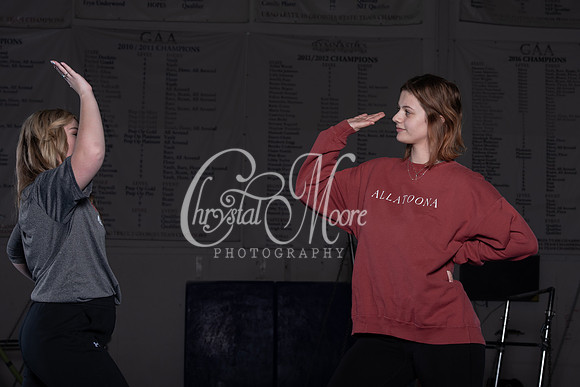 Allatoona Gymnastics 2022 Team Shoot