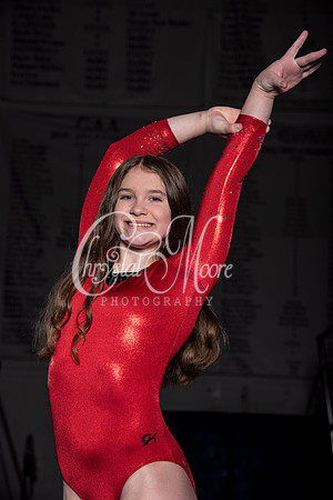 Allatoona Gymnastics 2022 Team Shoot