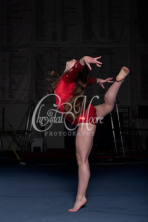Allatoona Gymnastics 2022 Team Shoot