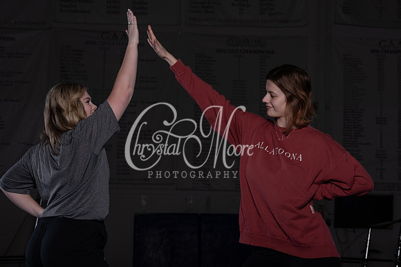 Allatoona Gymnastics 2022 Team Shoot