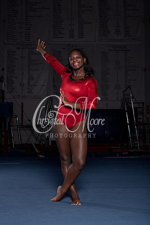 Allatoona Gymnastics 2022 Team Shoot