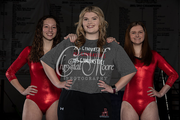 Allatoona Gymnastics 2022 Team Shoot