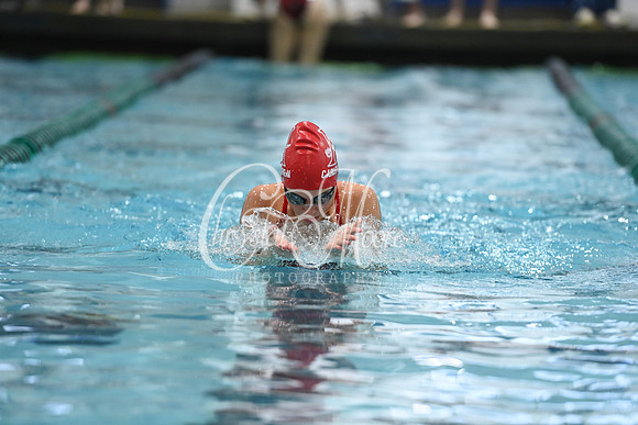 Allatoona High School Swim Team during Campbell Meet