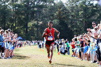 In the Lead