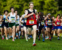 Leading the Pack