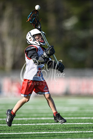 Varsity Allatoona Lacrosse Youth Night with Varsity Men vs. Dalton and Varsity Women vs. Walton.