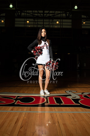 Allatoona Basketball, Dance and Cheer Senior Shoot