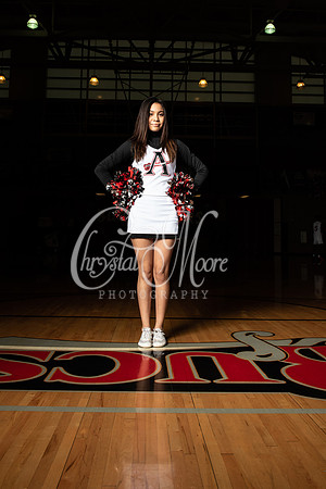 Allatoona Basketball, Dance and Cheer Senior Shoot