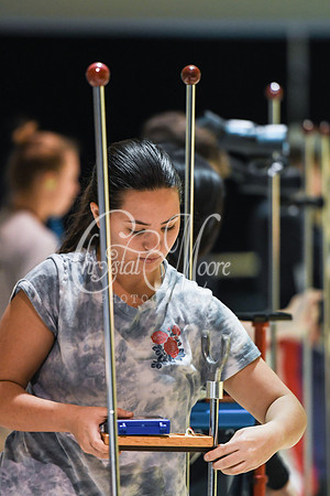 Allatoona Air Rifle vs Walton