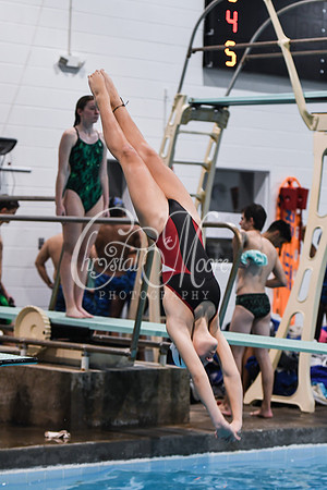 Allatoona Diving at Kennesaw Mountain High School Mountain Madness Meet