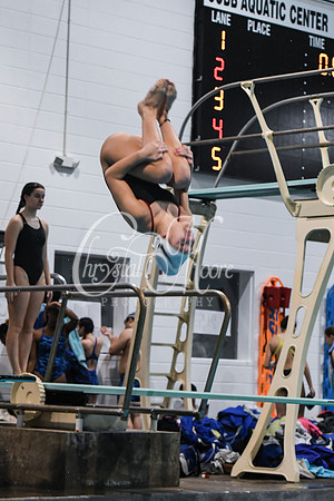 Allatoona Diving at Kennesaw Mountain High School Mountain Madness Meet