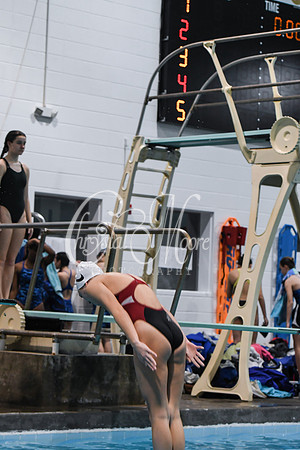 Allatoona Diving at Kennesaw Mountain High School Mountain Madness Meet