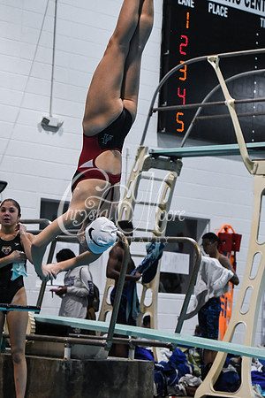 Allatoona Diving at Kennesaw Mountain High School Mountain Madness Meet
