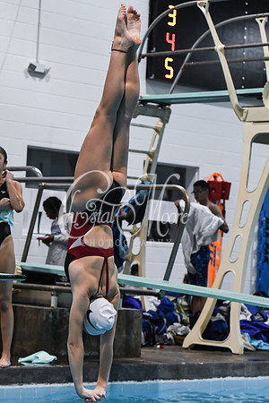 Allatoona Diving at Kennesaw Mountain High School Mountain Madness Meet